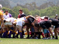 AM NA USA CA SanDiego 2005MAY18 GO v ColoradoOlPokes 022 : 2005, 2005 San Diego Golden Oldies, Americas, California, Colorado Ol Pokes, Date, Golden Oldies Rugby Union, May, Month, North America, Places, Rugby Union, San Diego, Sports, Teams, USA, Year